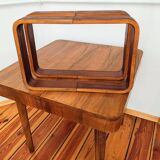 Czech Decorative Shelves attributed to Ludvik Volak for Drevopodnik Holesov