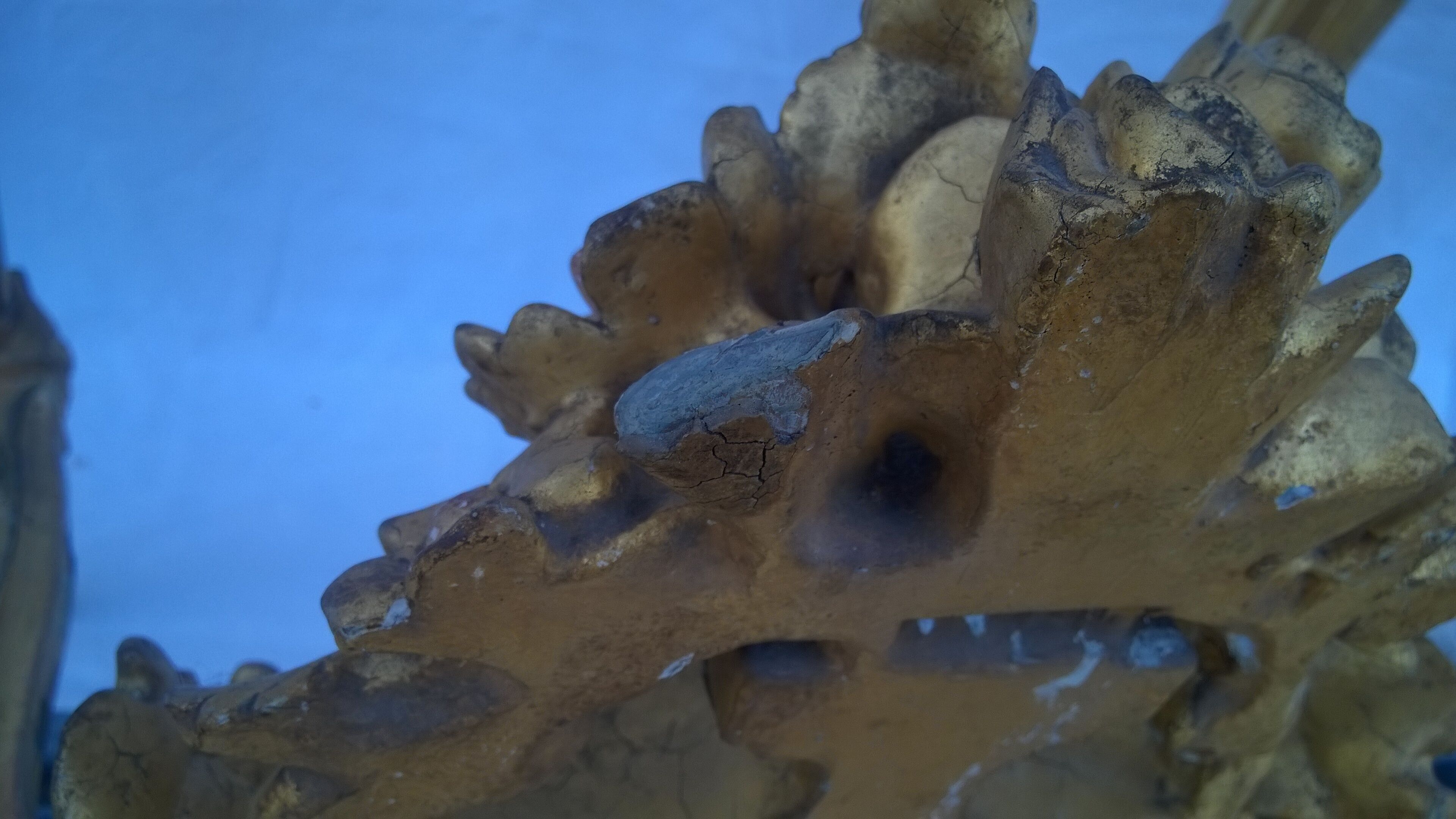 Louis XVI style console