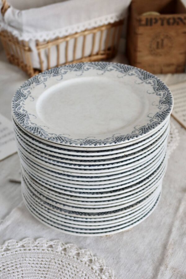 6 assiettes plates en terre de fer Sarreguemines U&C modèle Luchon