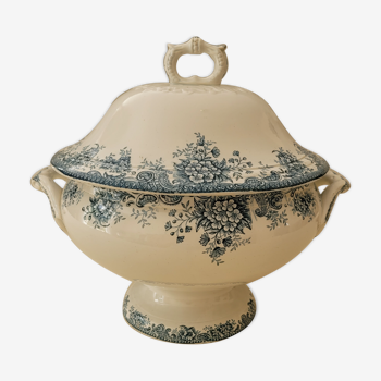 Tureen Springania