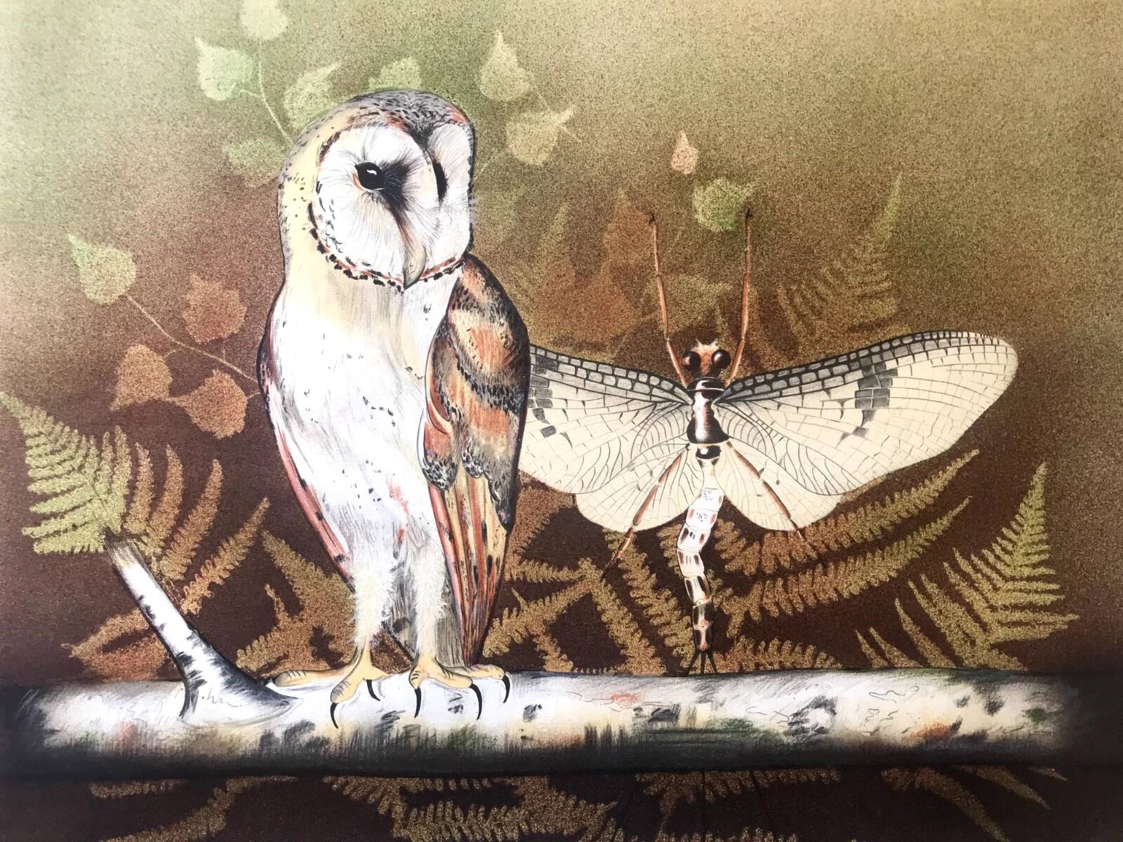 Lithograph (large format) Owl Jobin Paris Grapholith