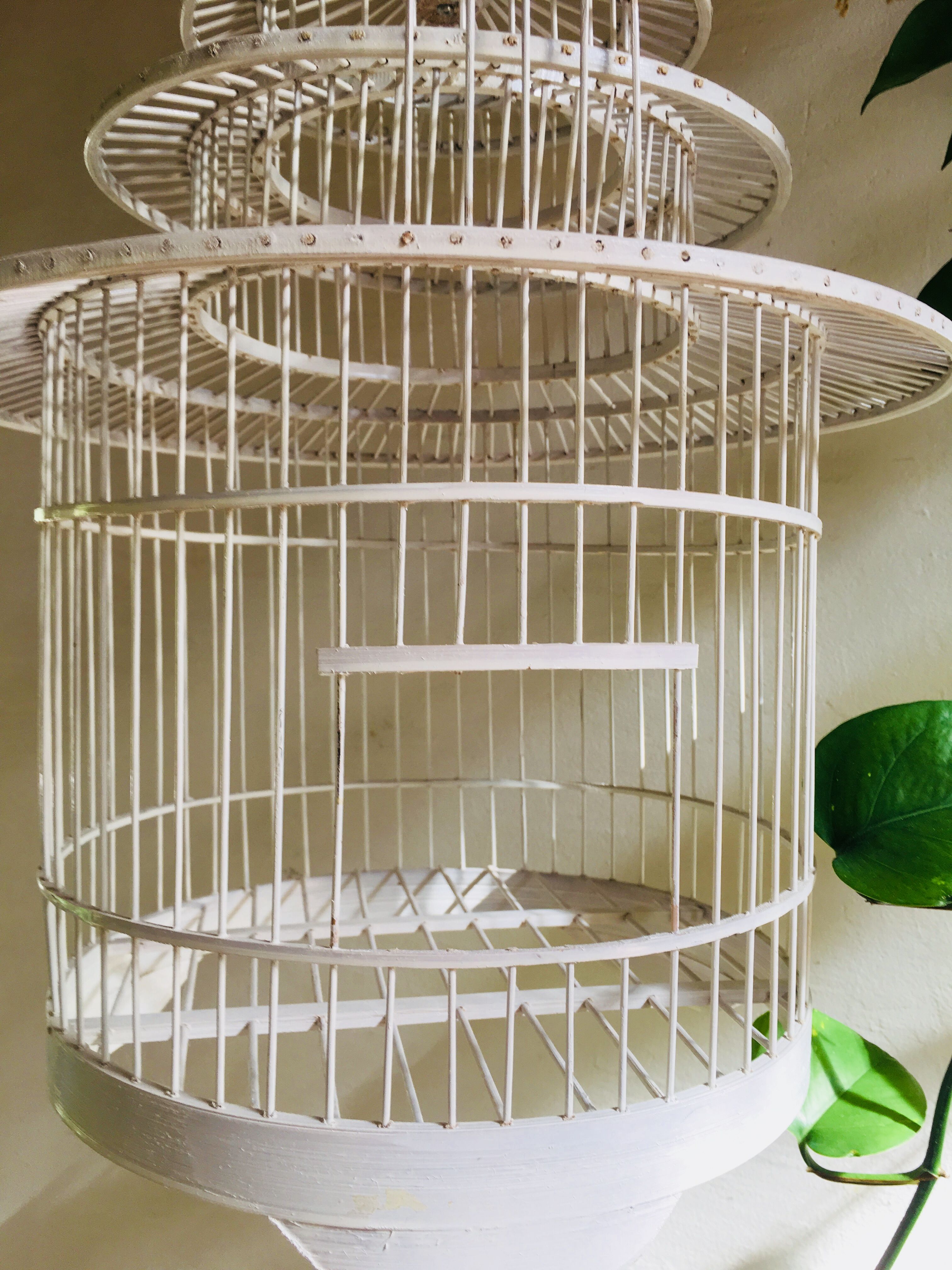 Cage à oiseau