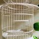 Cage à oiseau
