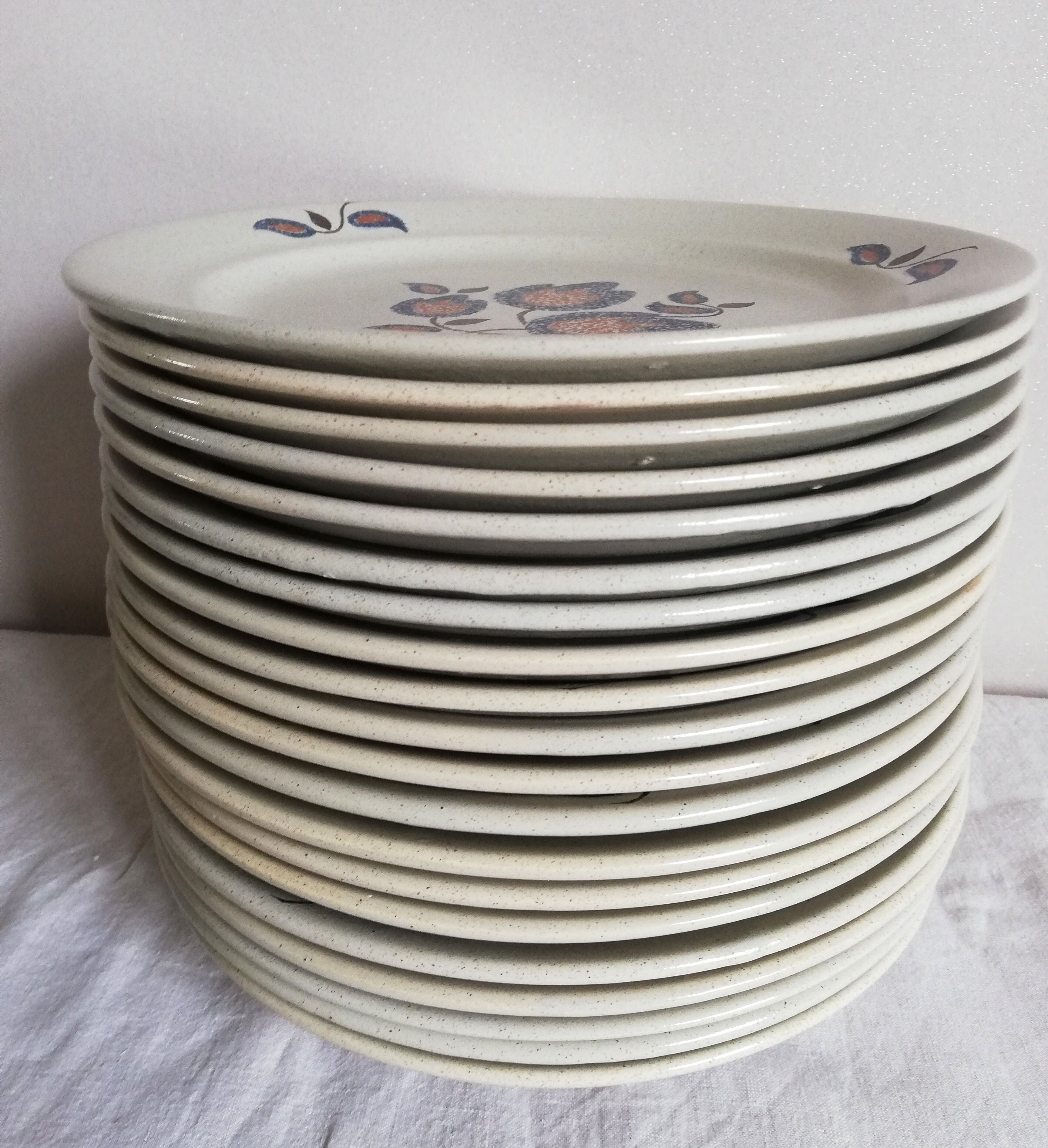 Serving 20 flat plates Sologne de Saint Amand