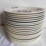 Serving 20 flat plates Sologne de Saint Amand