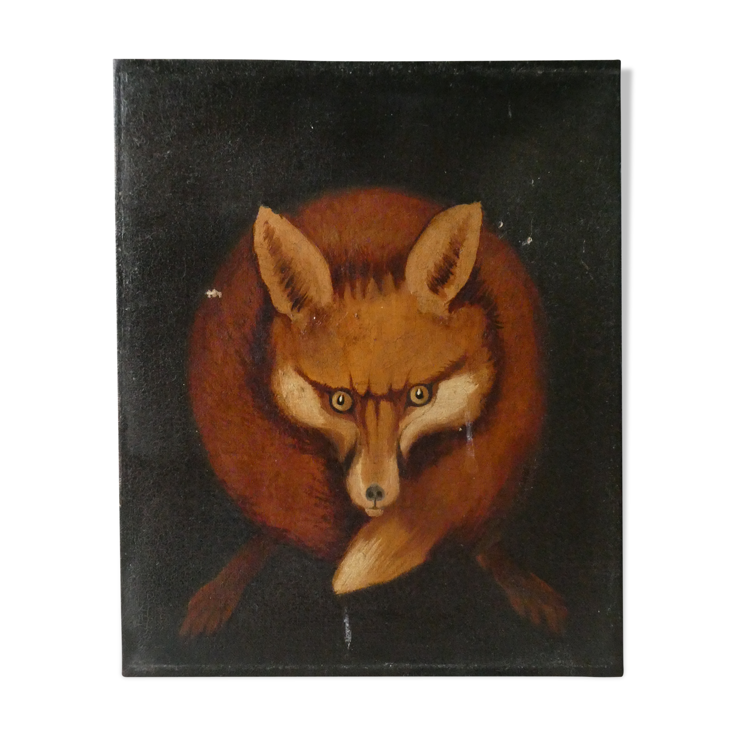 Table, oil on animal canvas, fox