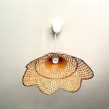 Canning suspension 1970