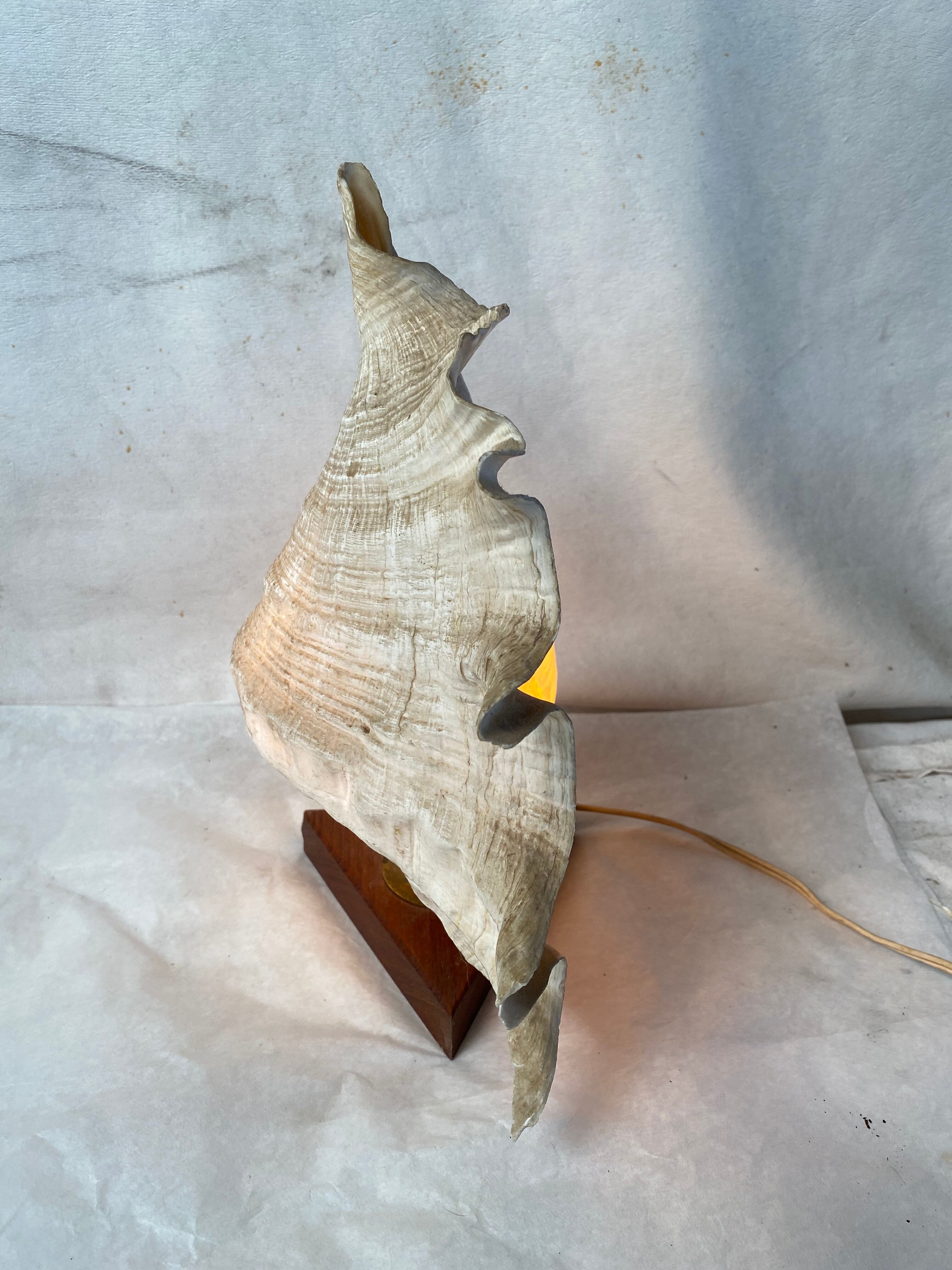 Vintage shell and teak lamp