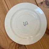 New Moscow model ironstone flat plate.