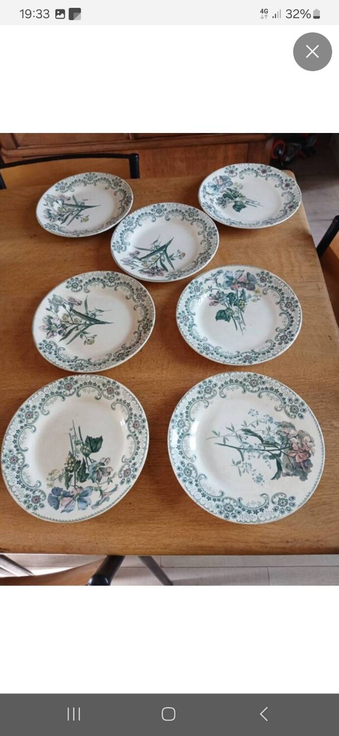 7 old flat plates Terre de fer