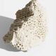 Sculptural White Coral Fossil, Organic Modern Decor from South Asia