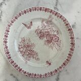 Set of 4 flat plates Onnaing Moisson