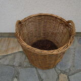 Basket in old wicker