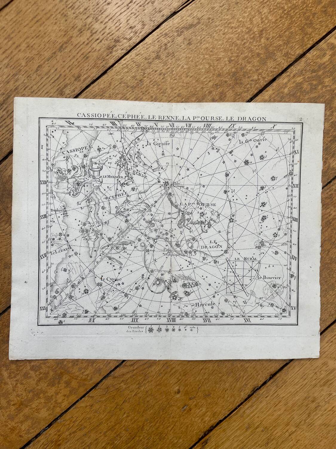 Cassiopée Céphée Le Renne La Petite Ourse Le Dragon - Astronomie