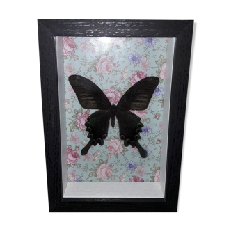 Frame with butterfly