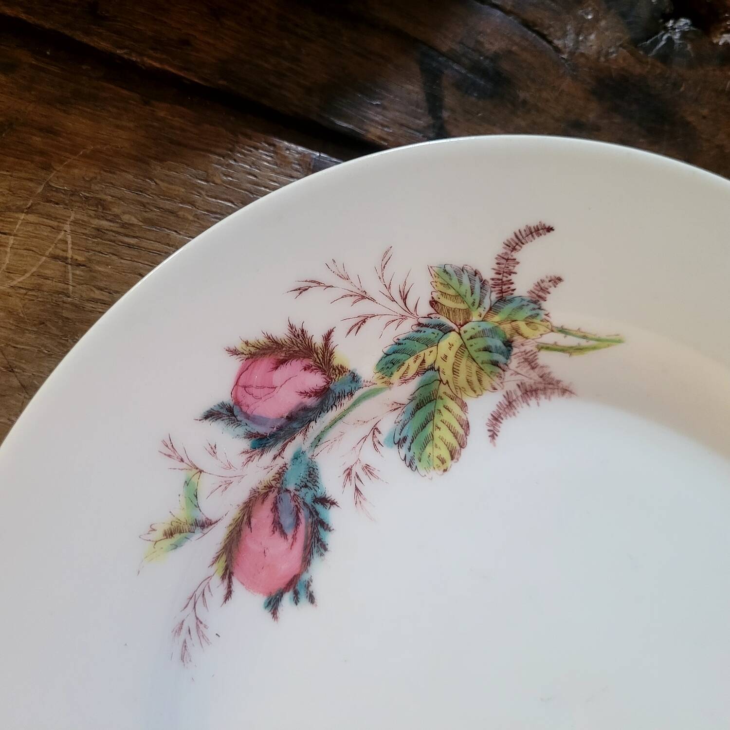 Round dish circa 50's