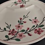 Asparagus plate Sarreguemines decoration sharp sharp early twentieth century