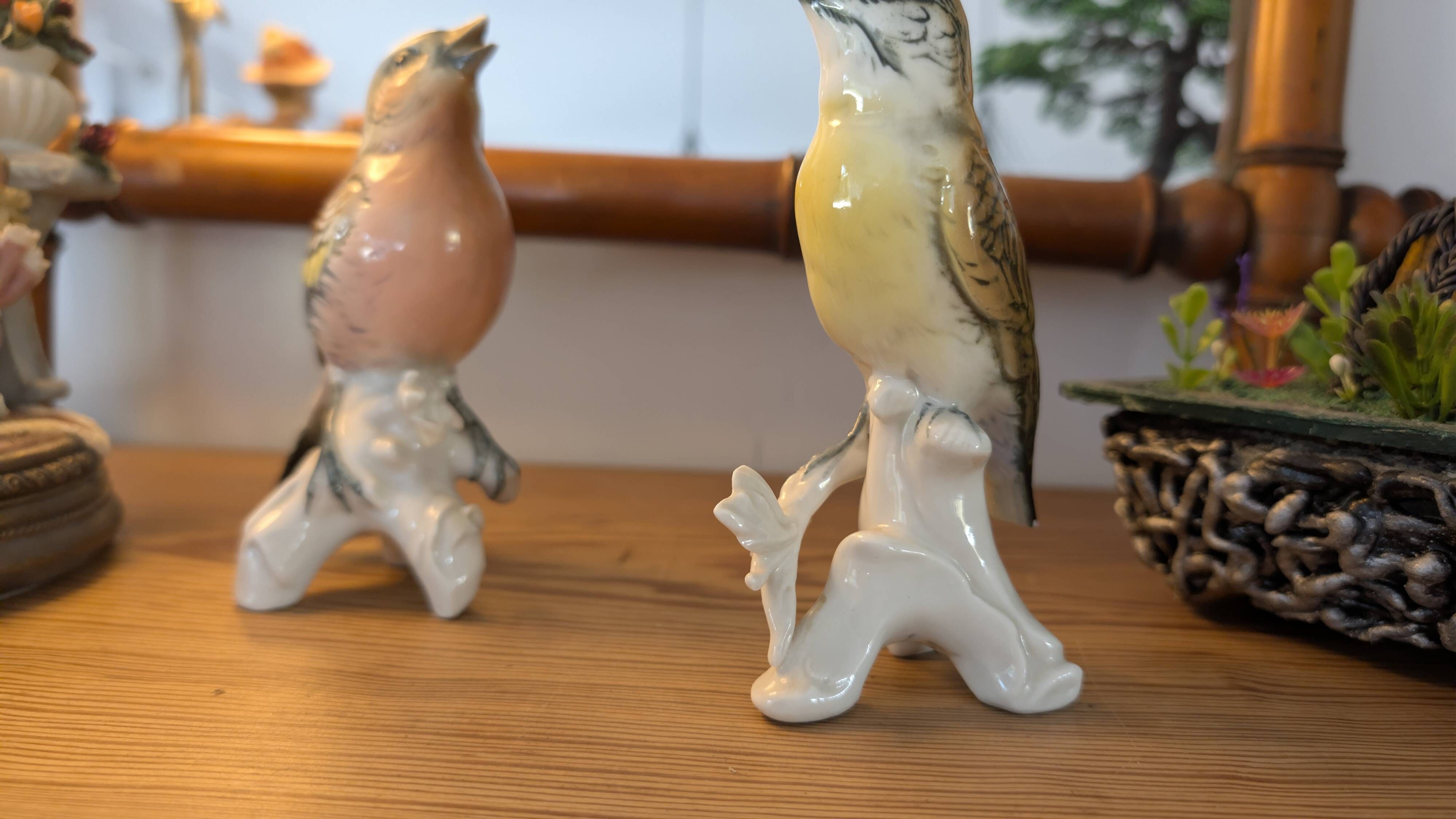 Pair of Karl Ens polychrome porcelain birds from Saxony