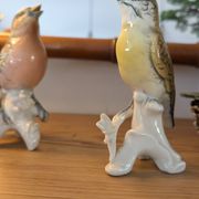 Paire d’oiseaux Karl Ens en porcelaine polychrome de Saxe