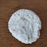 Boule de corail blanc