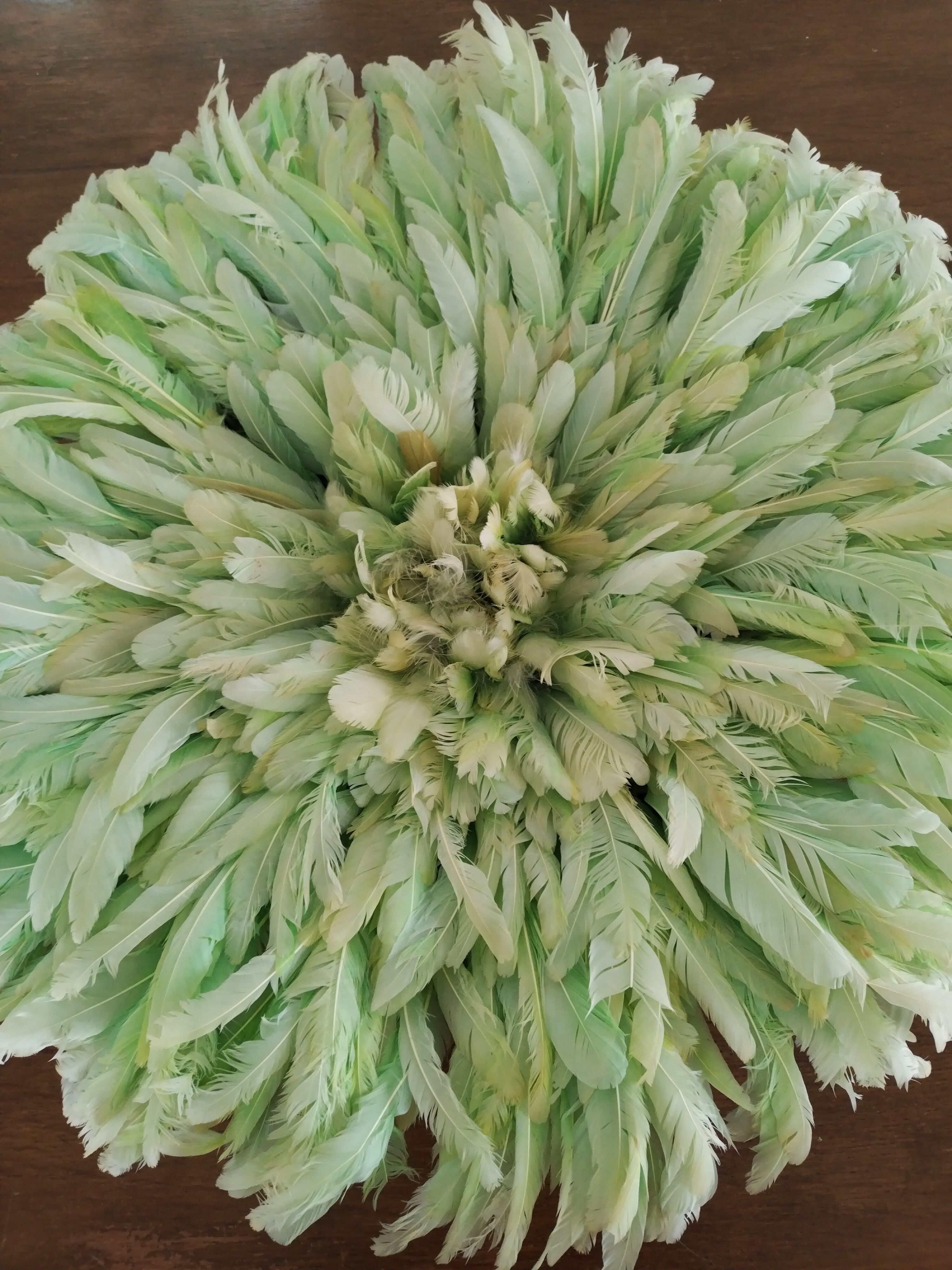 Juju hat light green