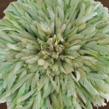 Juju hat light green