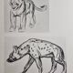 Illustrated plate, Studies of a lion cub and a hyena, Signed A. Margat, 1930
