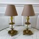 Pair of table lamps in bronze and glass early twentieth century