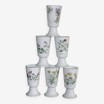 6 cups mazagrans apothecary flowers