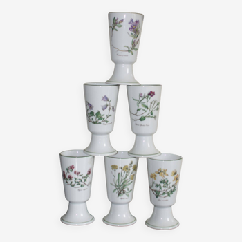 6 tasses mazagrans fleurs apothicaire