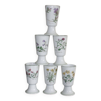 6 cups mazagrans apothecary flowers