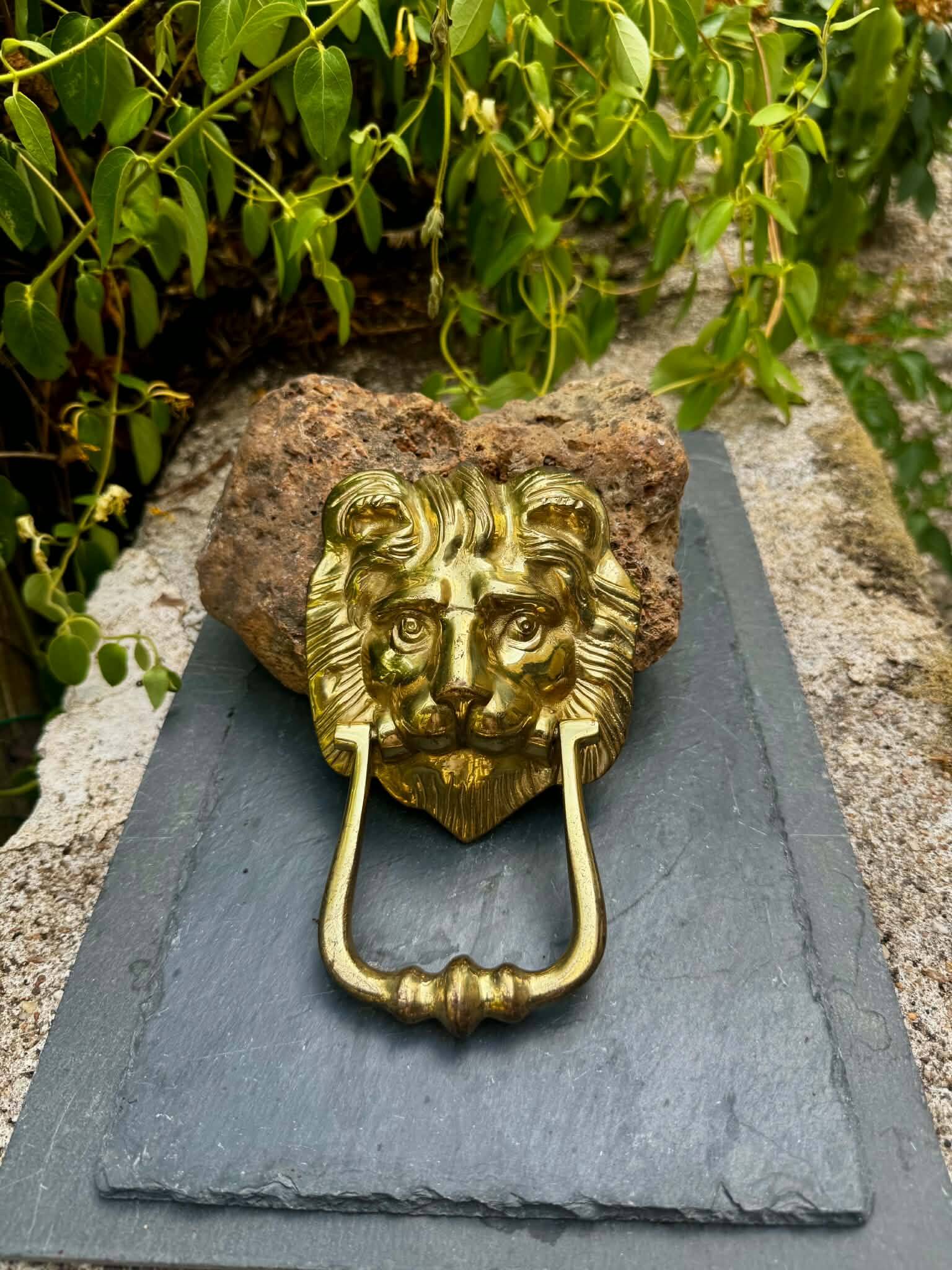 Large lion door knocker in solid brass Art Nouveau