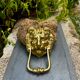 Large lion door knocker in solid brass Art Nouveau