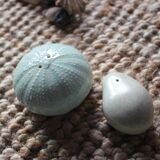 Salt and pepper shaker shells