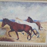 Horses in Camargue