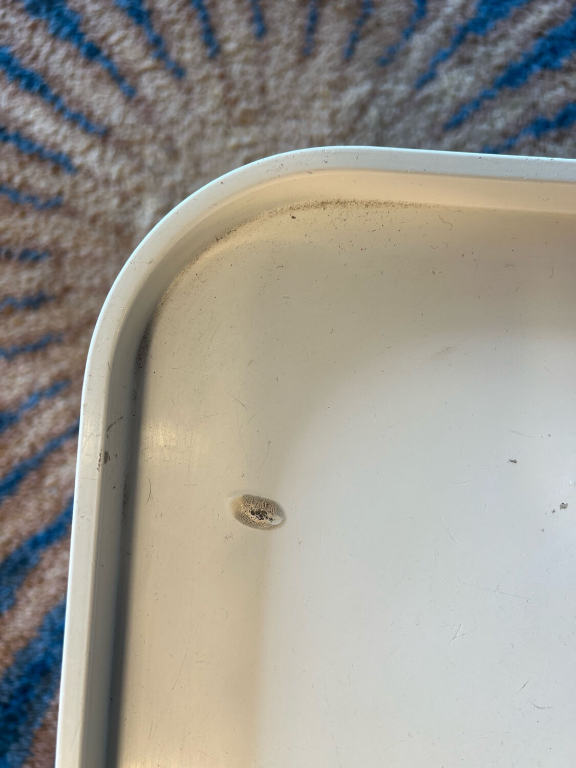 Module / box Anne CASTELLI for KARTELL