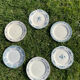 Set of 6 mismatched iron earth flat plates