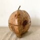 Coconut ice bucket