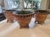 Three large ceramic plant pots Accolay