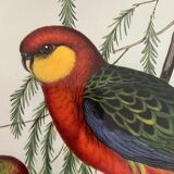 Early lithograph gould & richter