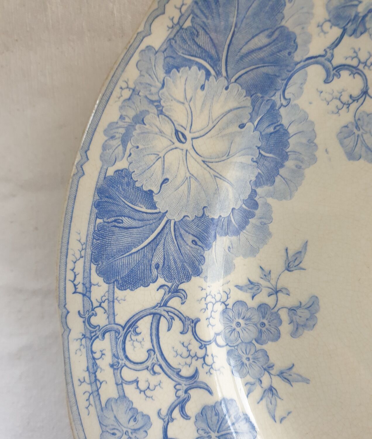 Geranium Saarguemines Iron Earth dish