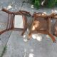 4 bistro chairs