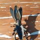 Metal fly ashtray