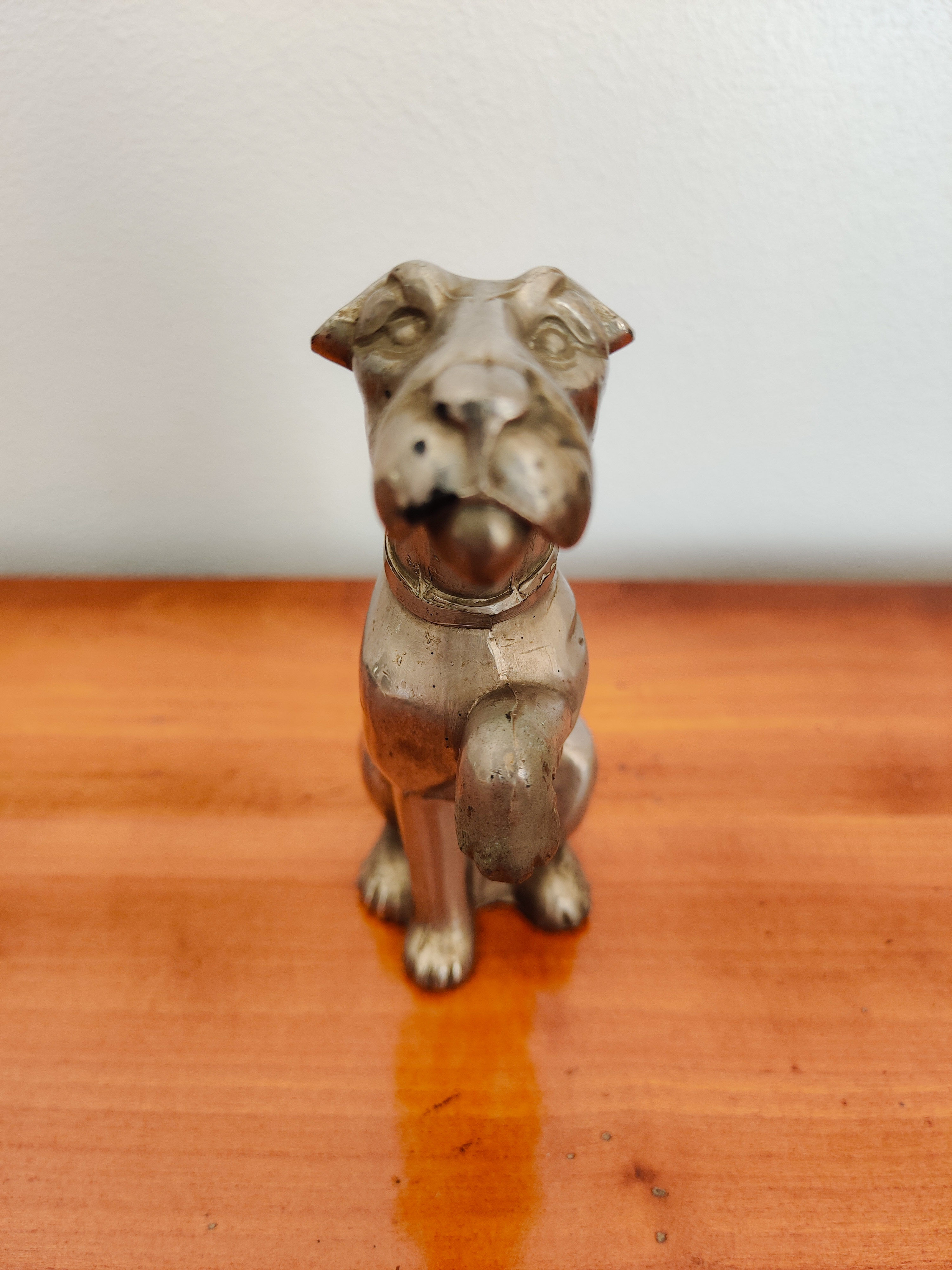 Chien