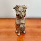 Chien