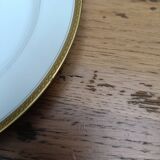 Haviland Limoges porcelain tableware