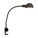 Jumo lamp