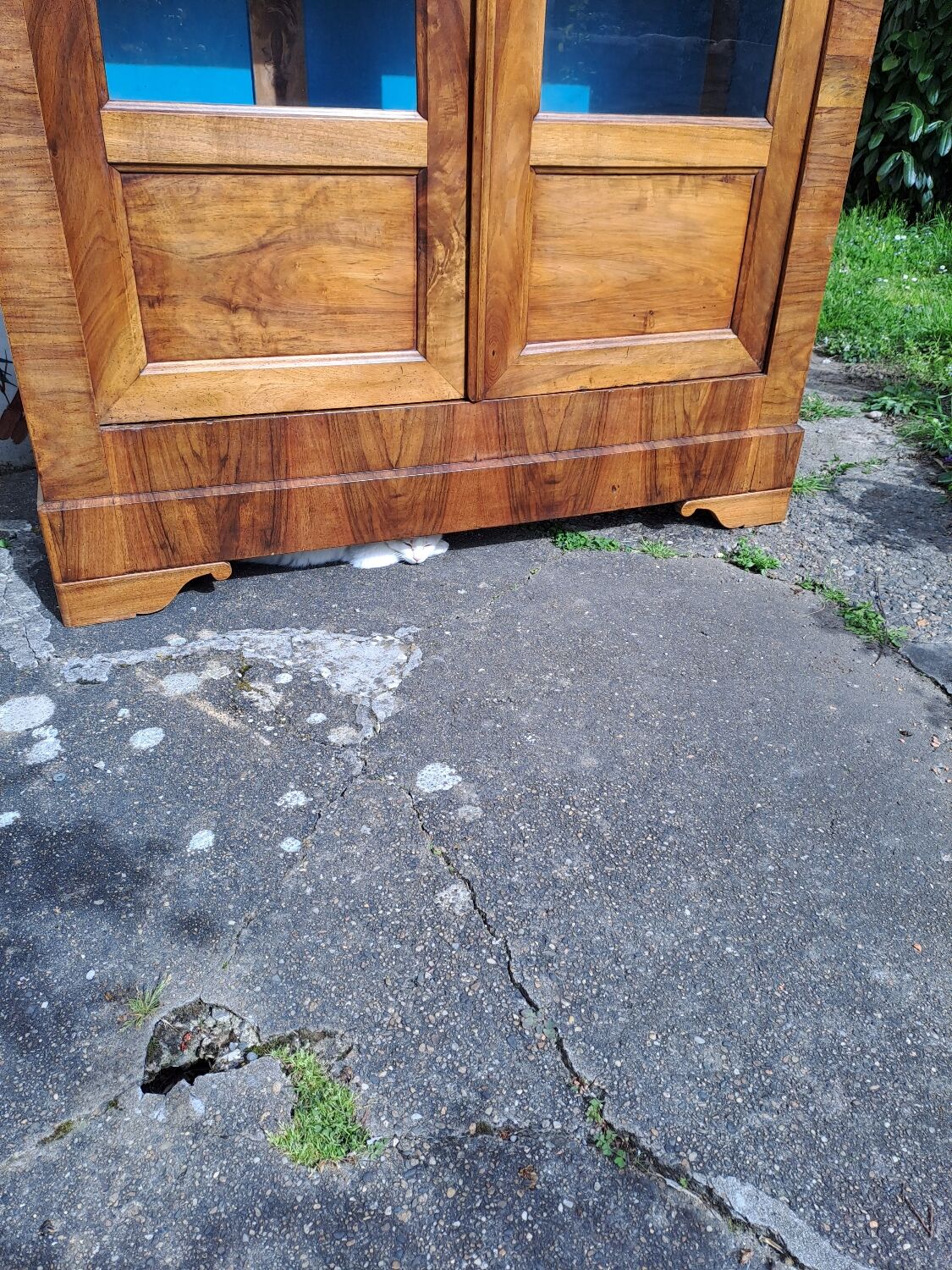 Louis Philippe blond walnut bookcase
