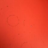 Orange tulip foot armchair