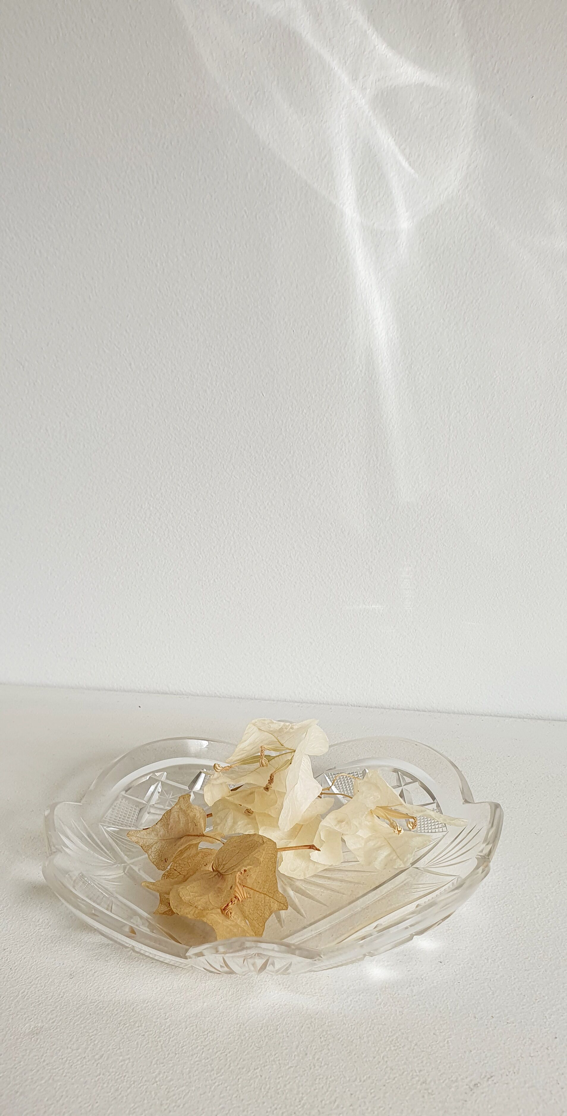 4 flat glass plates